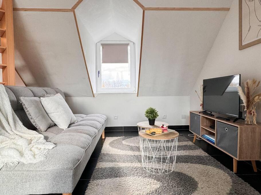 Le Coin De Paradis, Proche Centre Ville Mulhouse Ngoại thất bức ảnh