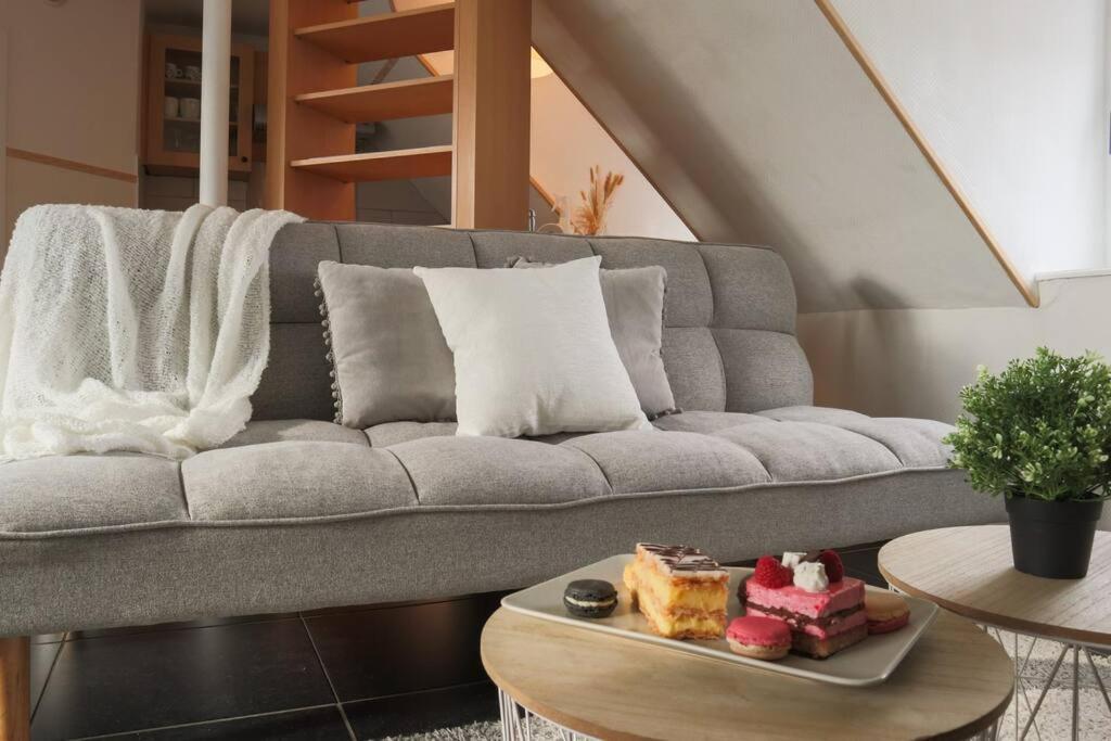 Le Coin De Paradis, Proche Centre Ville Mulhouse Ngoại thất bức ảnh